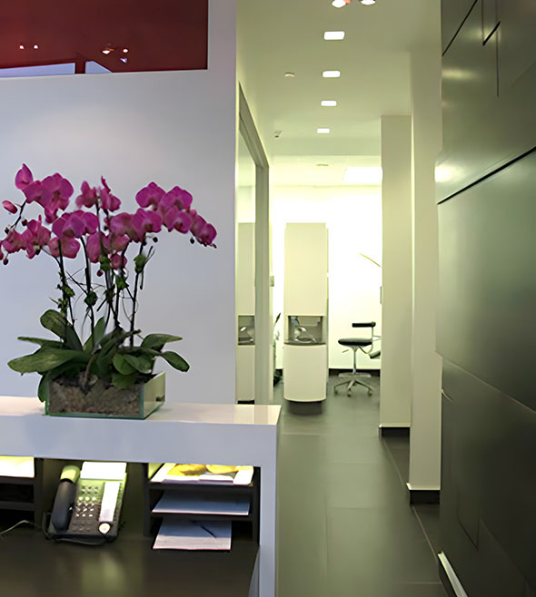 Flowers at Urban Dental Clinic